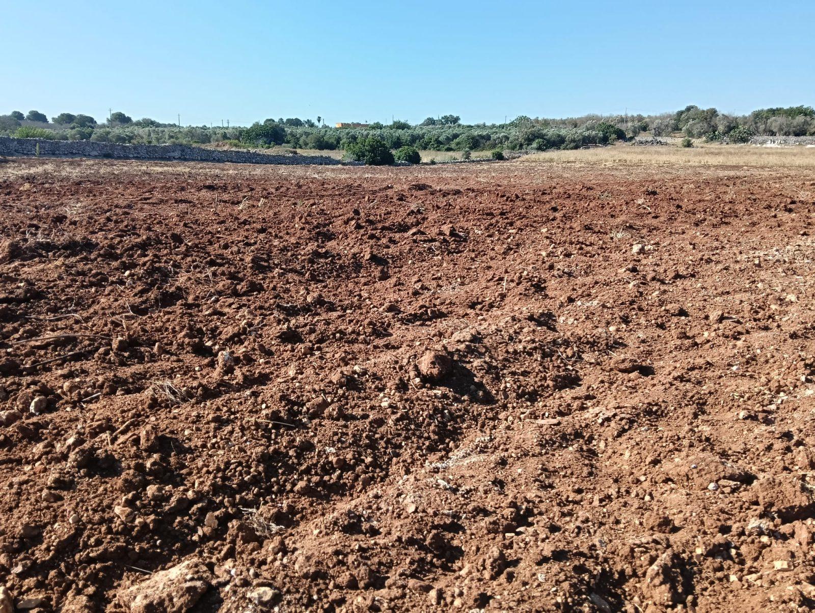 62f5e1ce-f4ed-41c0-bb94-ba2e3b66e53d