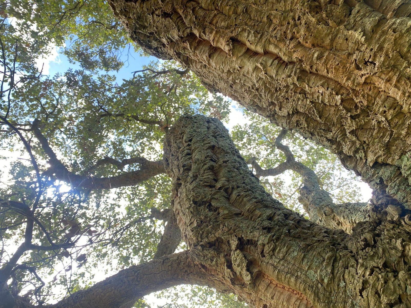 90f74019-1480-43fb-bb39-b86d44e89b94