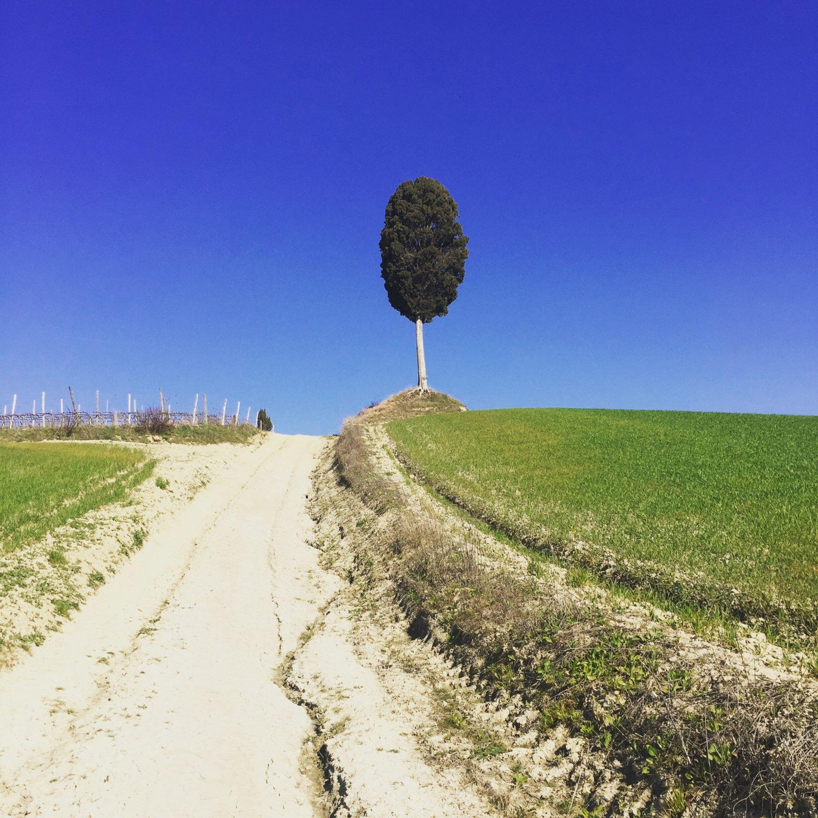 970943CC-DF55-47D8-801D-0828592DA424