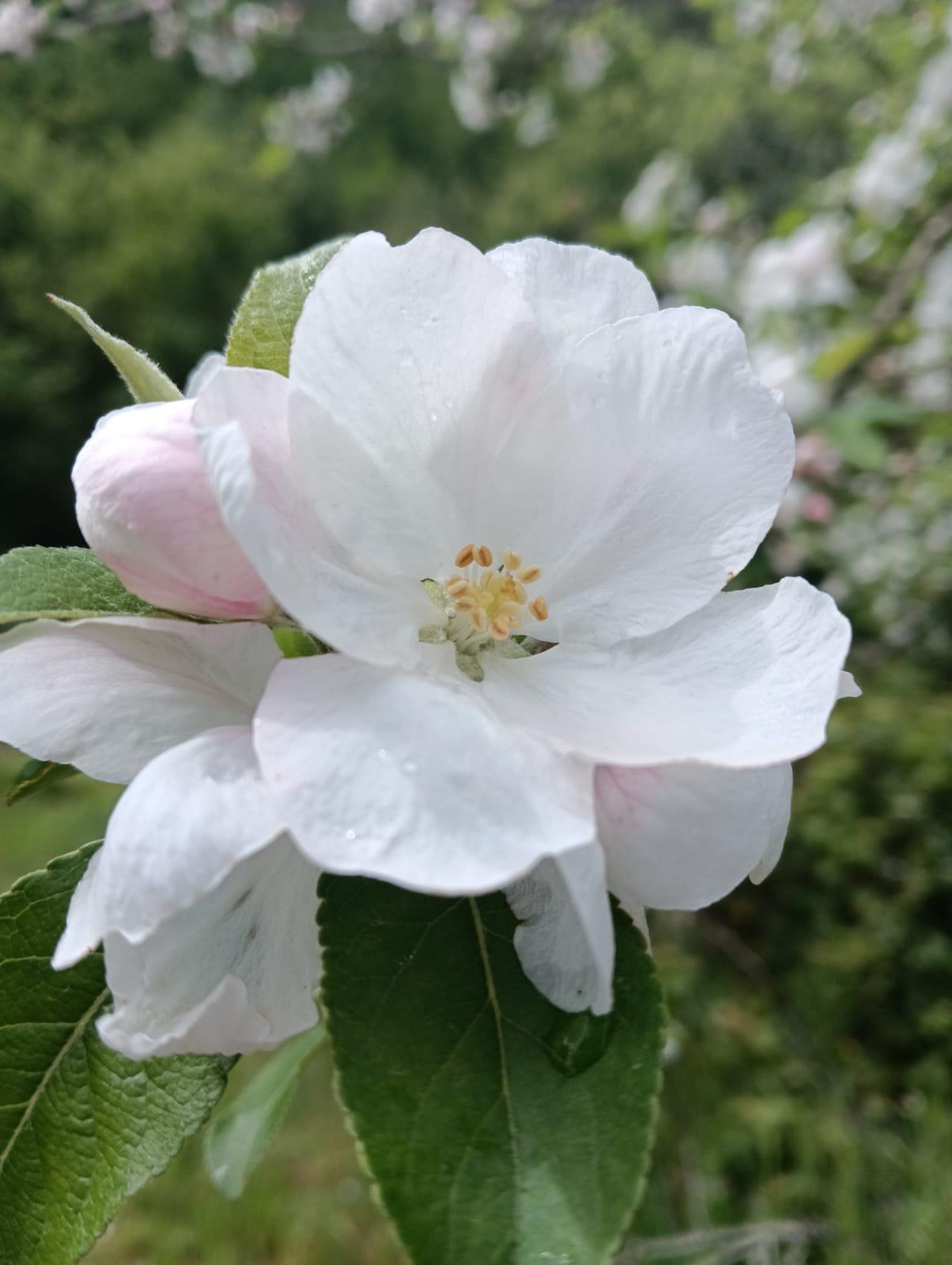 WhatsApp Image 2025-04-21 at 17.57.58